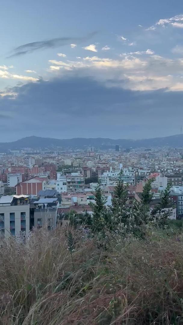 Vista previa del video