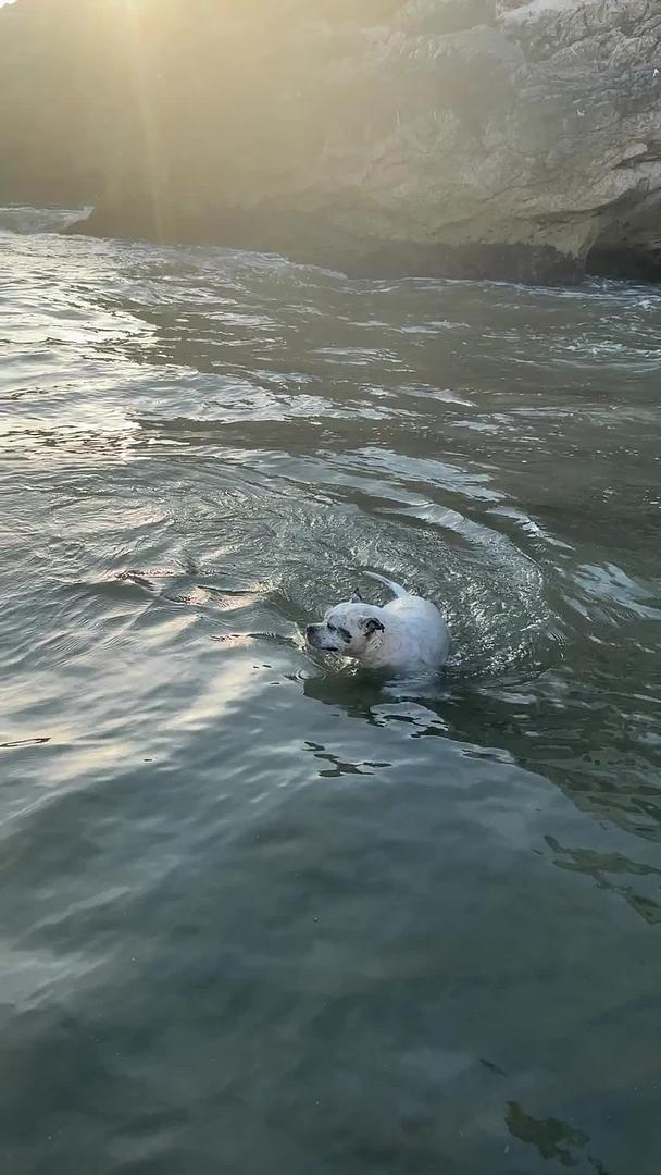 Vista previa del video