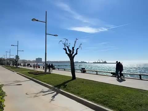 Vista previa del video